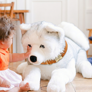 Ma peluche Husky Léonard
