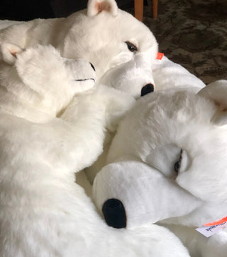 Ma peluche Ours Lucien