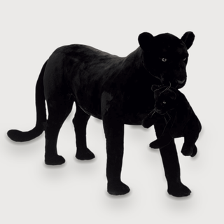 LP-PACKSHOT-GRIS