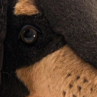 Ma peluche Teckel Eugène