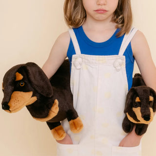 Ma peluche Teckel Eugène