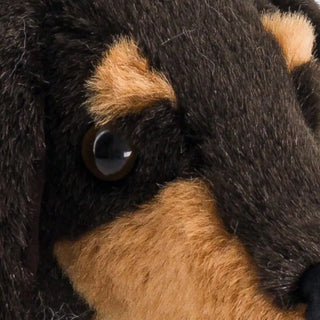 Ma peluche Teckel Eugène