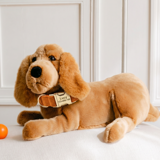 Ma peluche Cocker Théo