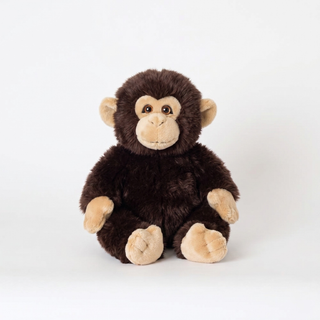 Monkey Marcel