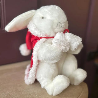 Mon Lapin Ernest de Noël