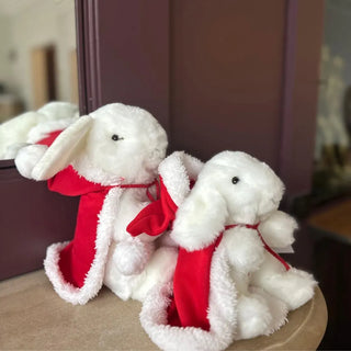 Mon Lapin Ernest de Noël