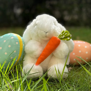 Mon Lapin Ernest "Croq'Carotte"