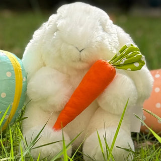 Mon Lapin Ernest "Croq'Carotte"