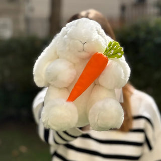 Mon Lapin Ernest "Croq'Carotte"