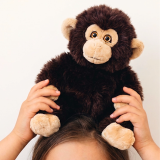 Monkey Marcel