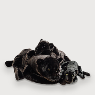 LP-PACKSHOT-GRIS