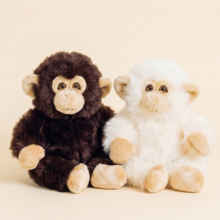 Monkey Marcel