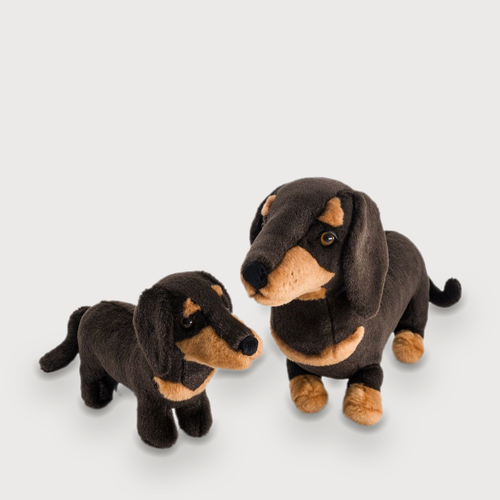 Ma peluche Teckel Eugène
