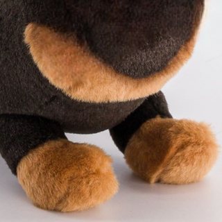  Zoom sur les pattes marrons d'un chien, luxe, magasin peluche, La Pelucherie