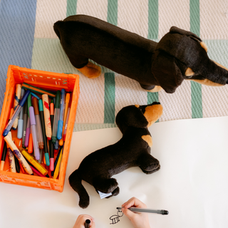 Enfant dessinant un animal en peluche, savoir-faire, magasin peluche, La Pelucherie