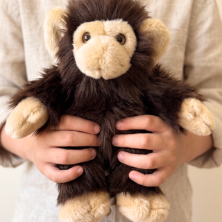 Monkey Marcel