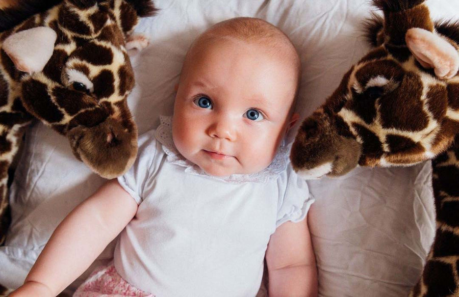 Une peluche pour la vie