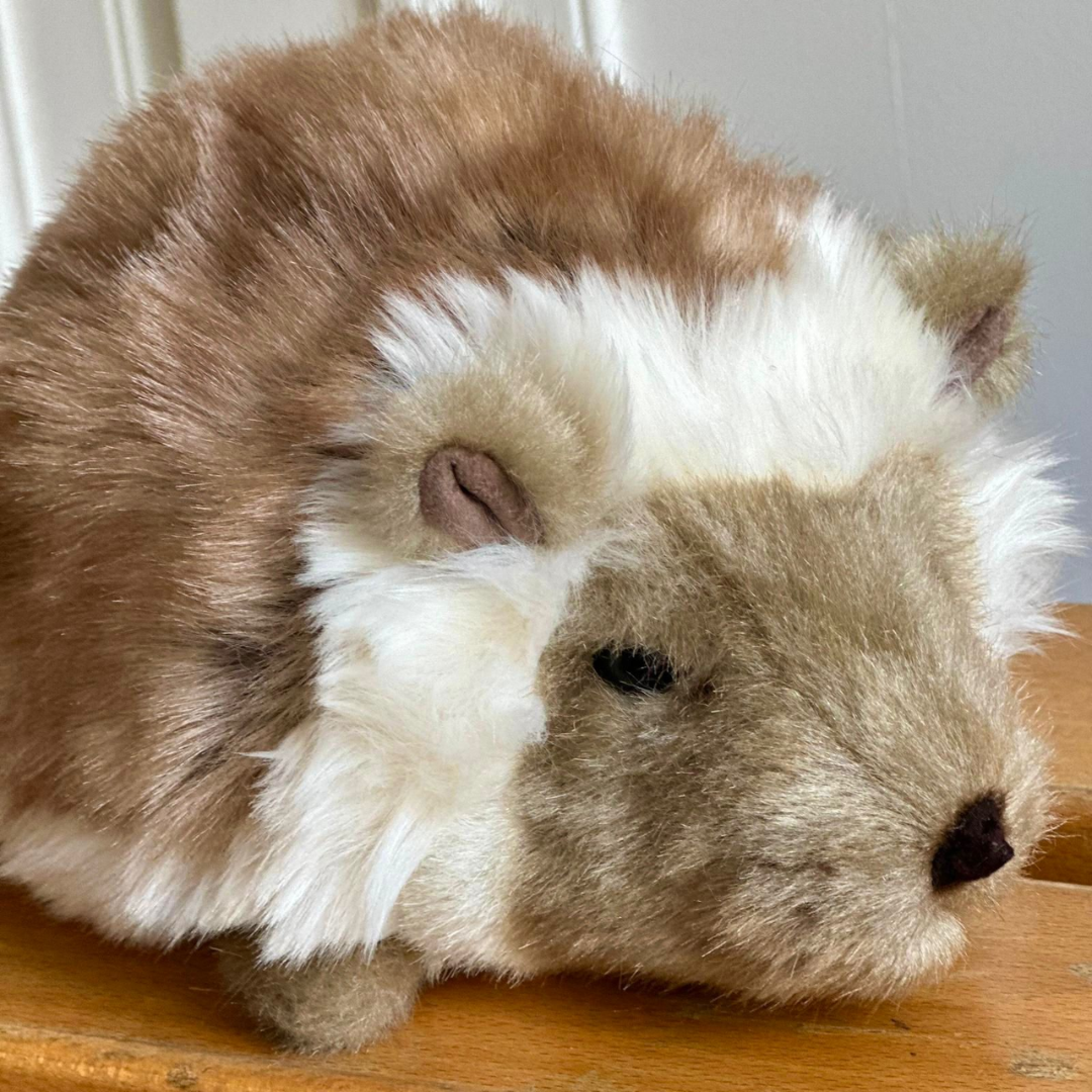 My Hedgehog Alfred plush