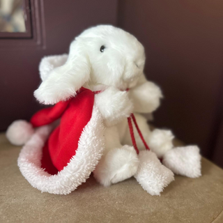 Mon Lapin Ernest de Noël