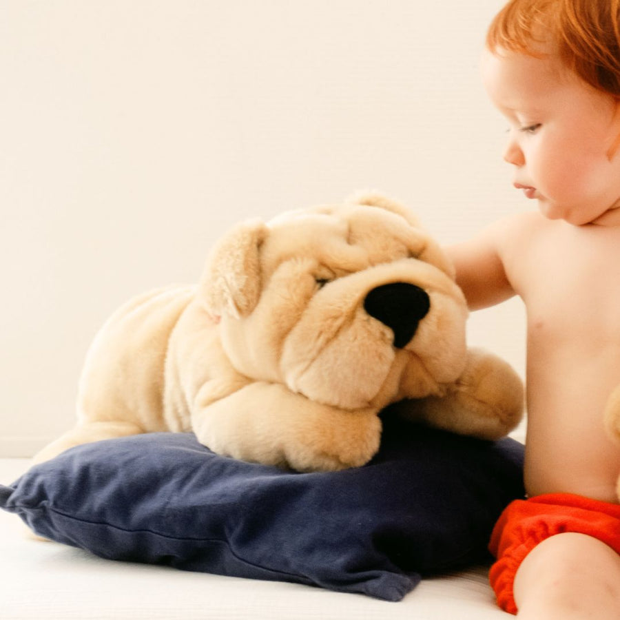 Nos Peluches Iconiques