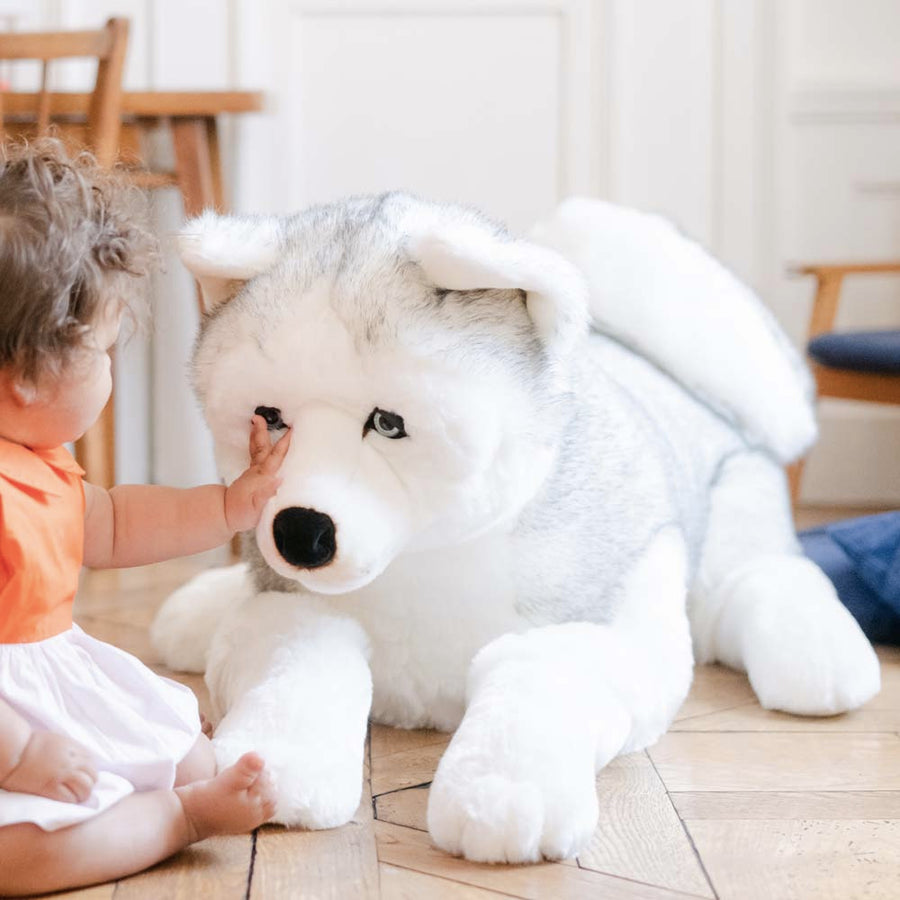 Nos Peluches Chiens