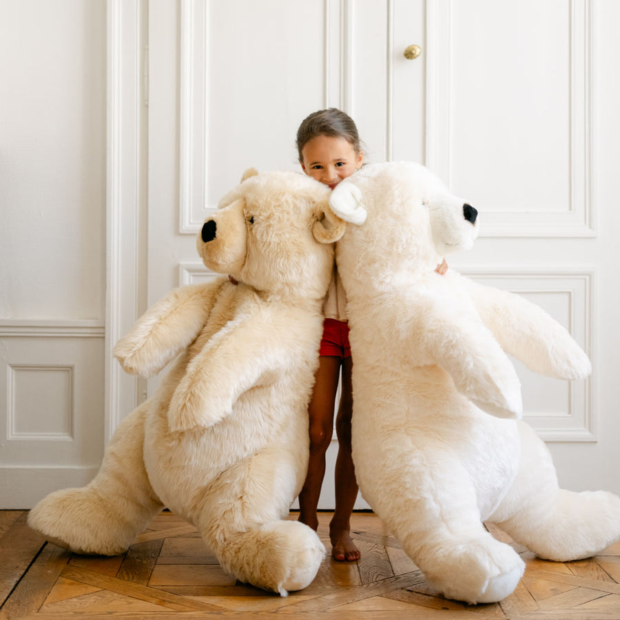 Nos Peluches Ours