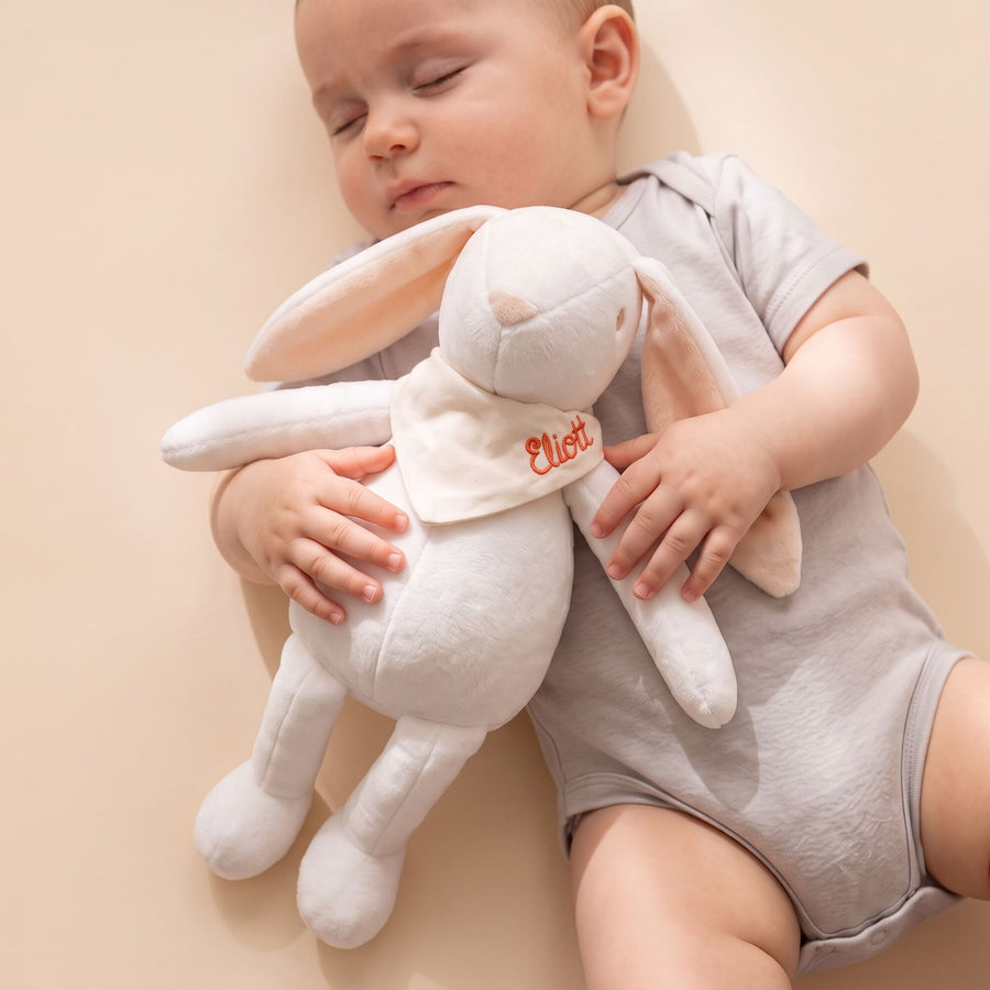 Nos Peluches Personnalisables