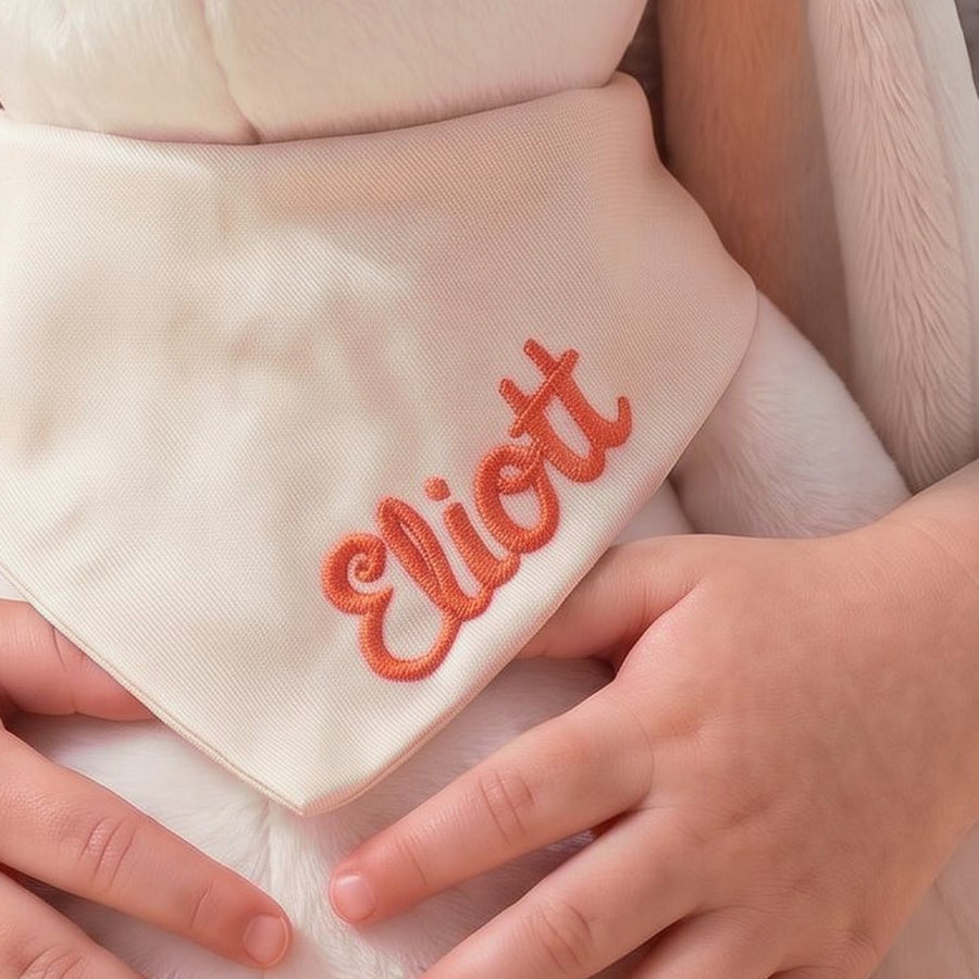 Nos Peluches Personnalisables