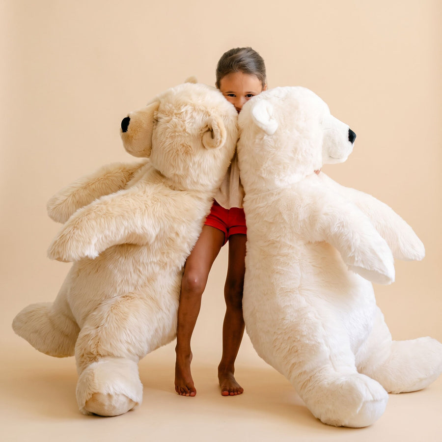 Nos Peluches Ours