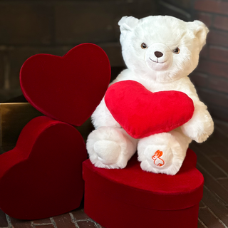 Petit ours blanc en peluche avec cœur rouge pour Saint-Valentin