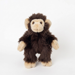 Monkey Marcel