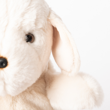 Peluche de labrador sales