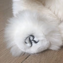 Embroidery on the paw