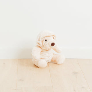 Ma peluche Chien Albert Invincible