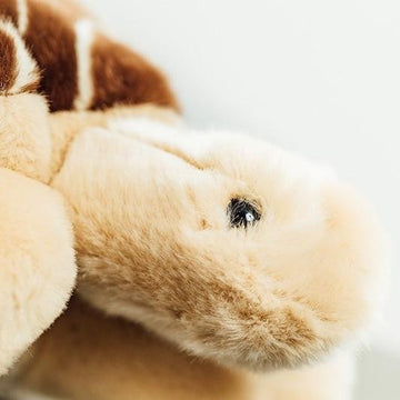 MA PETITE CARAPACE - Peluches tortue 16 cm MA PETITE CARAPACE - Peluches tortue 16 cm